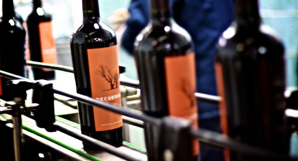 Bottling Malbec