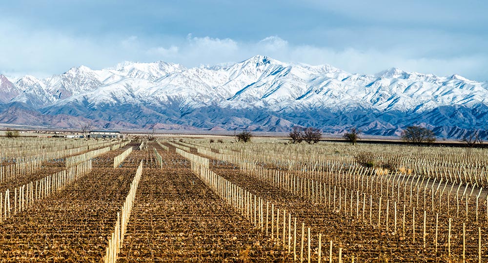 The Mountains of Mendoza