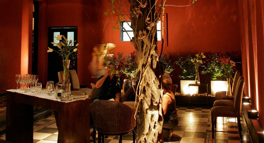 The Vines of Mendoza Tasting Room
