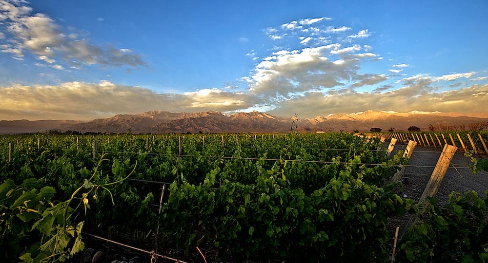 Vineyard Clouds