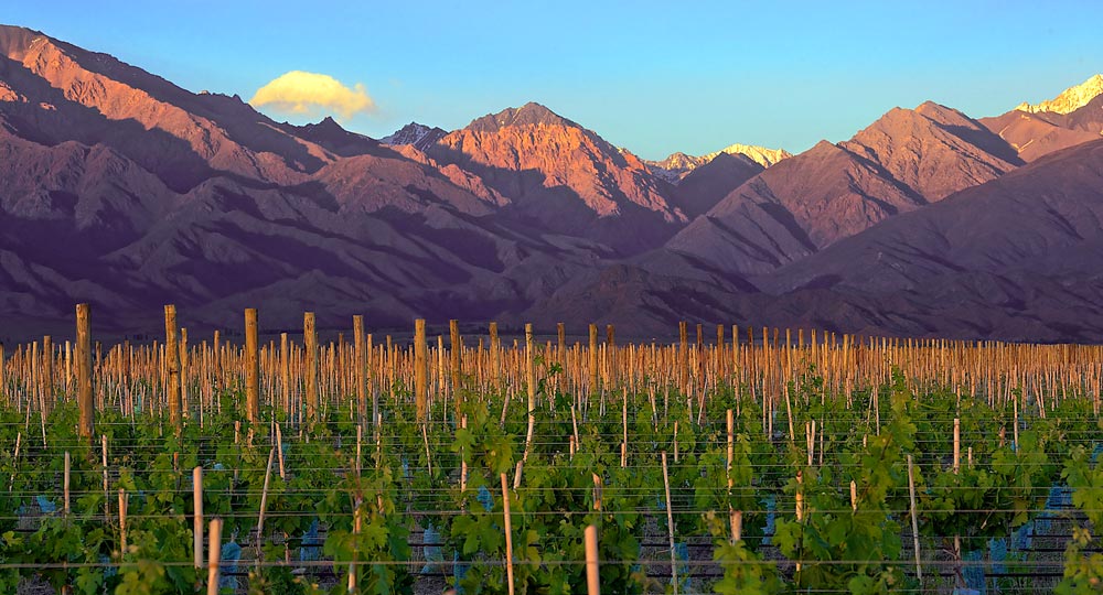 Mendoza Argentina